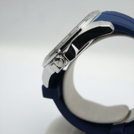  BERGSTERN 腕時計　クォーツ ケース付  B021G107