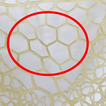  Brodin ランディングネット タモ 【一部地域を除き送料無料】