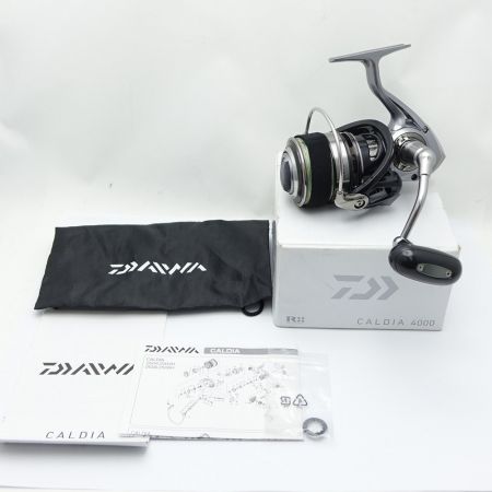  DAIWA ダイワ 14 CALDIA 4000  一部地域を除き送料無料