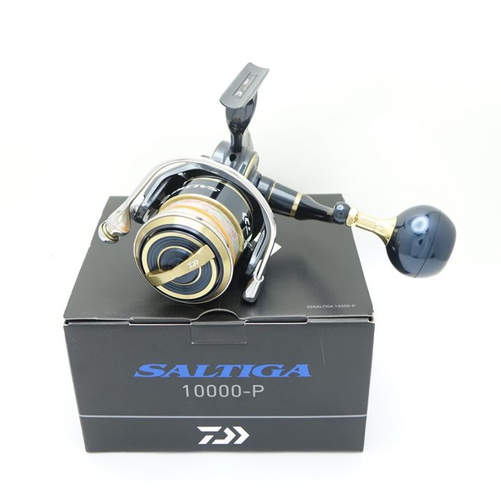 ダイワ20ソルティガ10000-P