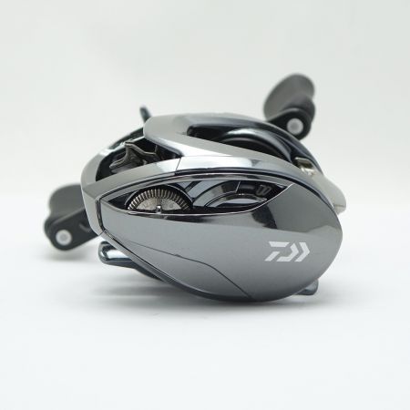  DAIWA ダイワ ベイトリール　スティーズリミテッド SV TW 1000H 【一部地域を除き送料無料】