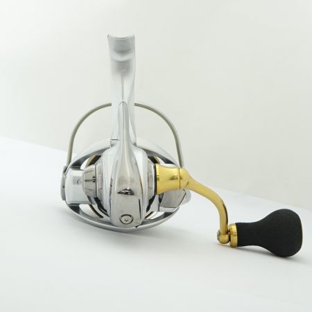  DAIWA ダイワ 21FREAMS LT  4000-CXH LT 4000-CXH 一部地域を除き送料無料