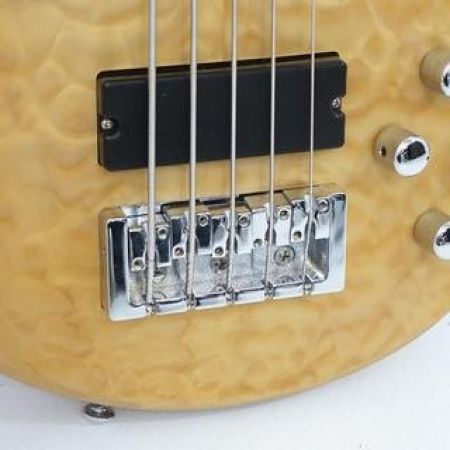  SPECTOR Professional Series Legend 5 ベース エレキベース Professional Series