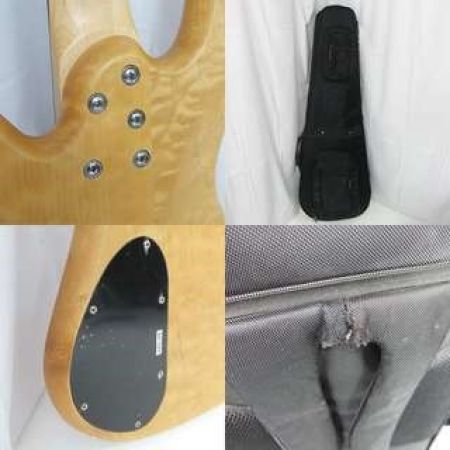  SPECTOR Professional Series Legend 5 ベース エレキベース Professional Series