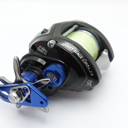  Abu Garcia アブガルシア SALTY STAGE　ベイトリール　ゴリ感あり REVO LJ-3 一部地域を除き送料無料