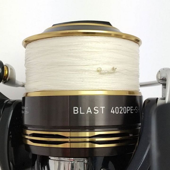 DAIWA ダイワ 13 ブラスト 4020PE-SH スピニングリール 4020PE-SH｜中古｜なんでもリサイクルビッグバン