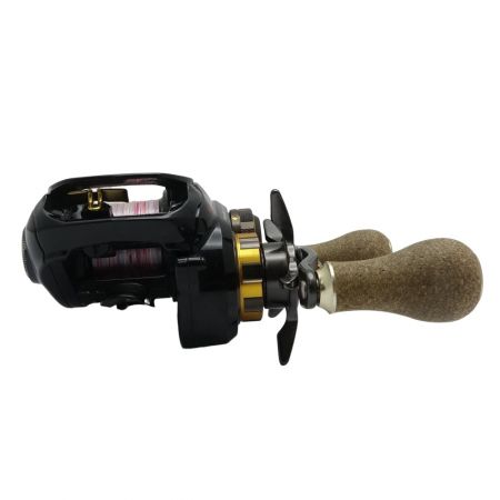  DAIWA ダイワ morethan PE SV 8.1L-TW　ベイトリール morethan PE SV 8.1L-TW
