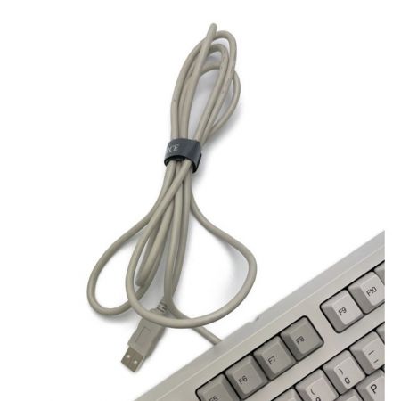  東プレ REALFORCE キーボード　日焼け有 R2TLSA-US4-IV