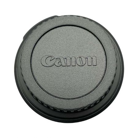  EF-S55-250mm F4-5.6 IS II 望遠ズームレンズ EF-S55-250mm F4-5.6 IS II 望遠ズームレンズ