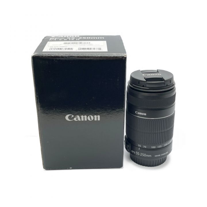 EF-S55-250mm F4-5.6 IS II 望遠ズームレンズ EF-S55-250mm F4-5.6 IS II 望遠ズームレンズ ｜中古｜なんでもリサイクルビッグバン