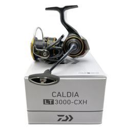 ◆◆ DAIWA ダイワ 21CALDIA　LT3000-CXH スピニングリール LT3000-CXH Sランク