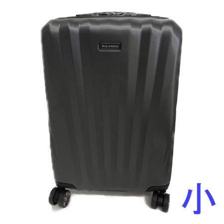  RICARDO WINDSOR スーツケース　2個セット（21インチ＆28インチ）グラファイト