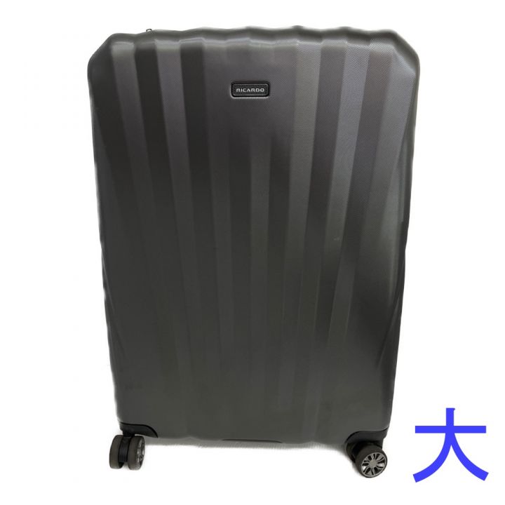 RECARDO スーツケース 2個セット