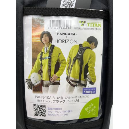  TITAN 新規格適合品　フルハーネス本体のみ PAHN-10A-BL-M ブラック PANGAEA　HORIZON