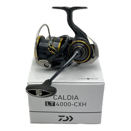  DAIWA ダイワ スピニングリール  21 カルディア LT4000-CXH LT4000-CXH