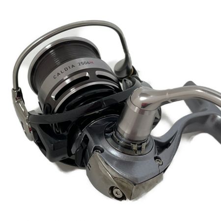  DAIWA ダイワ 14カルディア　2506H　スピニングリール　ハンドルノブ付 2506H