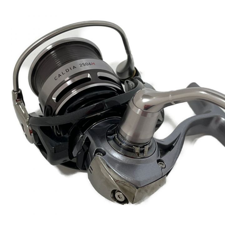 DAIWA ダイワ 14カルディア 2506H スピニングリール ハンドルノブ付 2506H｜中古｜なんでもリサイクルビッグバン