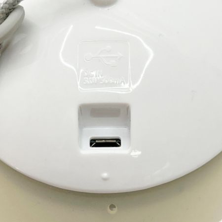  snowpeak スノーピーク ほおづき　ゆき　LEDランタン　 [明るさ100lm] ホワイト