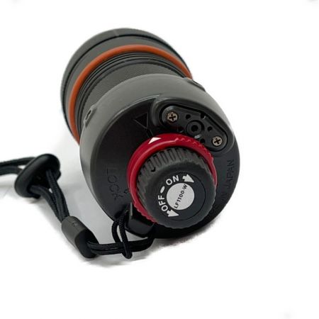  INON 水中ライト　Waterproof LED Flashlight LF1100-W