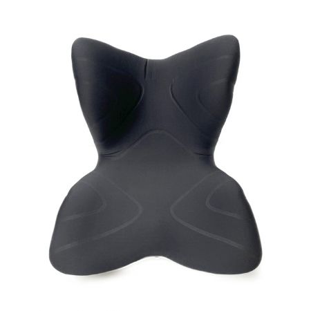  Style PREMIUM スタイル プレミアム 座椅子 ブラック 姿勢矯正 骨盤ケア ブラック