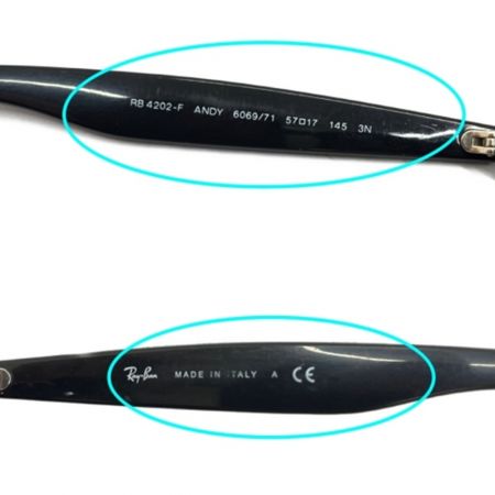  RAY-BAN レイバン アイウェア サングラス  RB4202-F ブラック