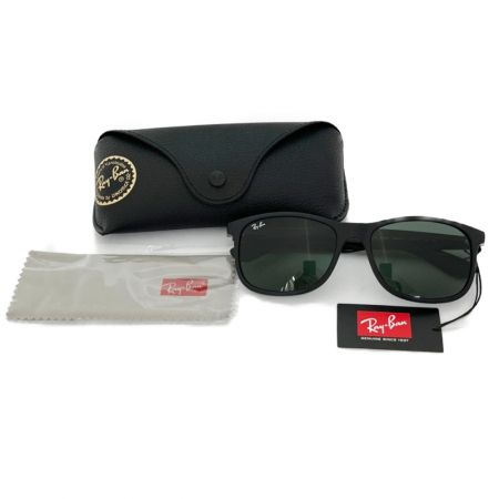  RAY-BAN レイバン アイウェア サングラス  RB4202-F ブラック