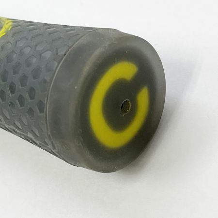  GTD ドライバー 455α 1W シャフト RODDIO PENTACROSS M-6 PROTO 2010 SHINGO SPEC