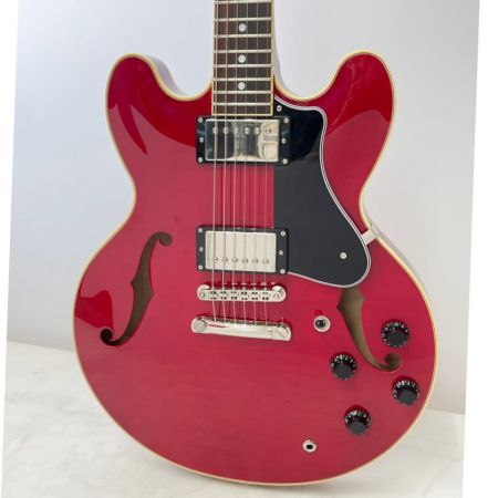  FUJIGEN セミアコースティックギター ギター Ｄ140830 NSA-HP/CH レッド系