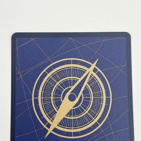  ワンピース ワンピースカード トレカ おナミ OP06-101P2