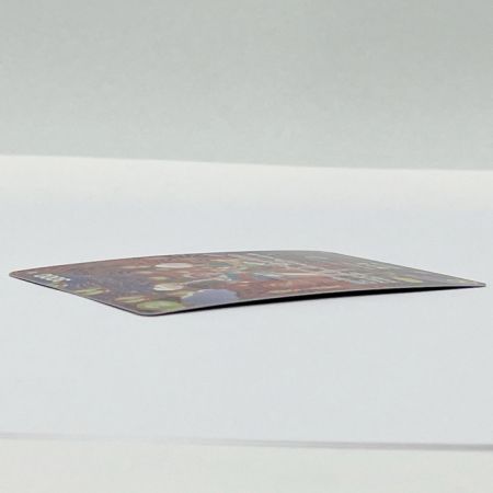  ワンピース ワンピースカード トレカ おナミ OP06-101P2