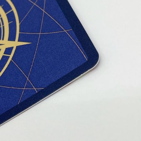  ワンピース ワンピースカード トレカ おナミ OP06-101P2