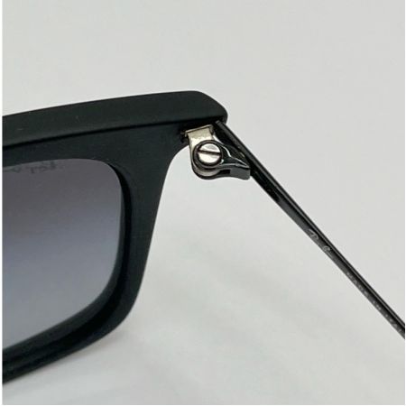  RAY-BAN レイバン サングラス RB4221F ブラック