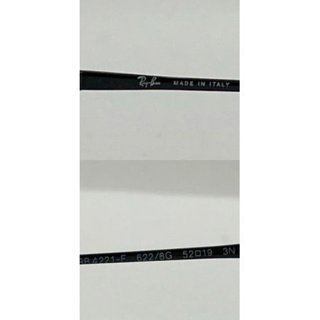  RAY-BAN レイバン サングラス RB4221F ブラック