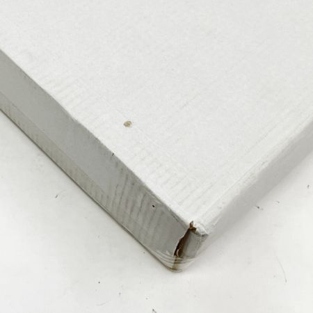  snowpeak スノーピーク テーブル エントリーIGT CK-080