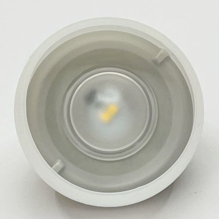  snowpeak スノーピーク LEDランタン たねほおずき もり ES-041GR