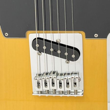  FENDER フェンダ テレキャスター ギター エレキギター PLAYER TELE MN BTB 離島・沖縄除く