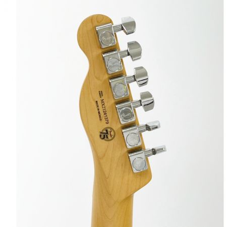  FENDER フェンダ テレキャスター ギター エレキギター PLAYER TELE MN BTB 離島・沖縄除く