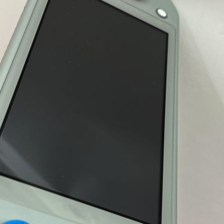  Nintendo ニンテンドウ Switch Lite ザシアン ザマゼンダ HDH-S-GBZAA