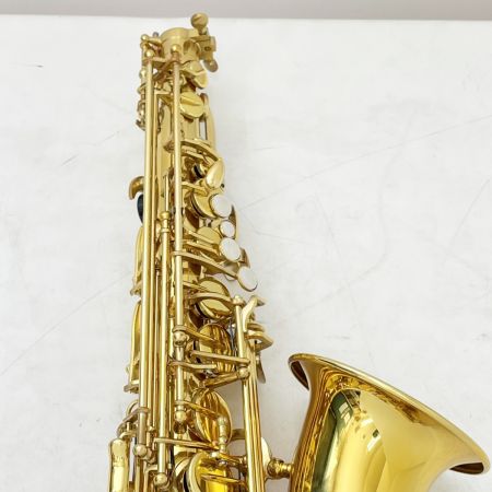  メーカー不明 楽器 管楽器 アルトサックス ケース付