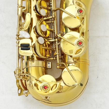  メーカー不明 楽器 管楽器 アルトサックス ケース付