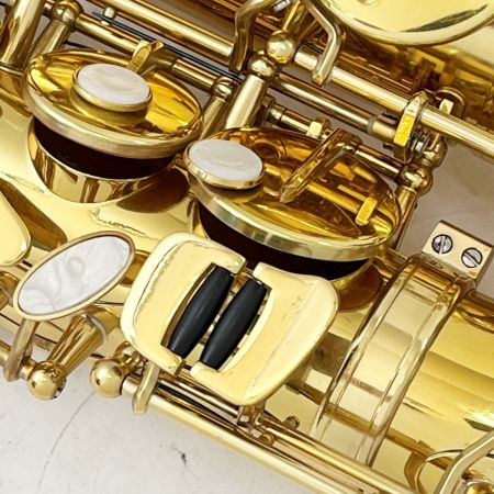 メーカー不明 楽器 管楽器 アルトサックス ケース付