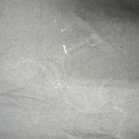  JURGEN LEHL ヨーガンレール セットアップ Mサイズ ボタンシャツ風 レディース パープル