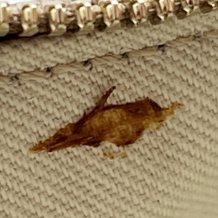  Salvatore Ferragamo サルヴァトーレフェラガモ ワンショルダーバッグ  AU-21/4435 ベージュ