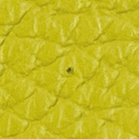  Her Schedule ハースケジュール 財布 箱付 レディース グリーン