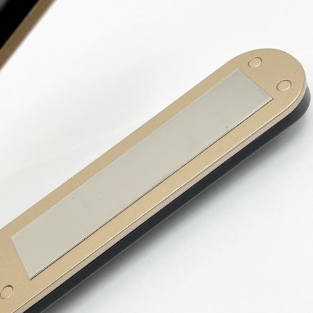  CARE PRO 超音波浸透アイロン プロフェッショナル専用 BUI-01