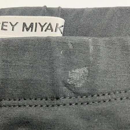  ISSEY MIYAKE イッセイミヤケ パンツ size2 ミセス IM22JF068 ブラック