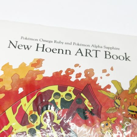   ポケットモンスター New Hoenn ART Book ニューホーエンアートブック オメガルビーアルファサファイア 