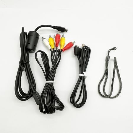  Panasonic パナソニック コンパクトデジタルカメラ シルバー 箱付 DMC-LC33