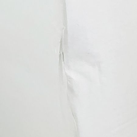  snowpeak スノーピーク ローチェア　ショート　アイボリー LV-093