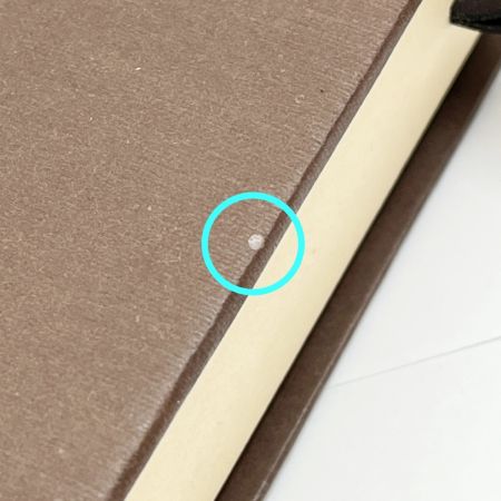  LOUIS VUITTON ルイヴィトン モノグラム ブラスレラックイット ブレスレット CA0142 ブラウン